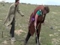 Fail Compilation September 2011