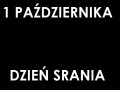 Dzień srania