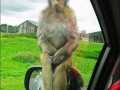 Hello Sir