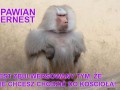 Pawian Ernest