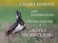 Czajka Dorota