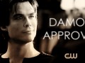 Damon approves