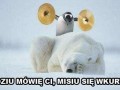 Misiu się wkurzy
