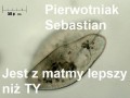 Pierwotniak Sebastian