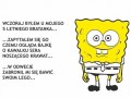 Kawałek sera noszący krawat