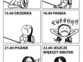 Licencjat