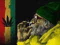 Ganja