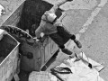 Le Parkour