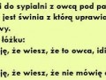 Dowcip - wchodzi facet do sypialni z owcą pod pachą