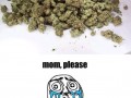 Weed