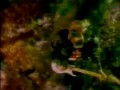 Daryl Hall - Dreamtime