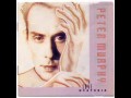 Peter Murphy - All night long