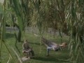 Bryan Adams - Summer of 69