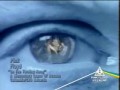 Pink Floyd - On the turning away