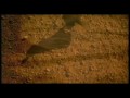 Chris de Burgh - Dont pay the ferryman
