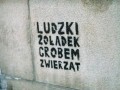 Ludzi żołądek