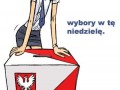 Wybory w te niedzielę