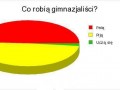 Co robią gimnazjaliści
