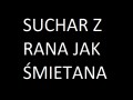 Suchar z rana