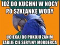 Noc