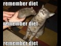 Nie, Dieta!