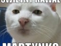 Świetny kawał Martynko