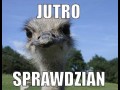 Jutro sprawdzian