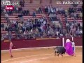 Byk zmasakrował twarz torreadora