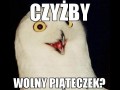 Dzień nauczyciela