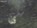 Sposób na łowienie ryb przez delfiny
