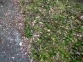 Dwa mysliwce eskortują UFO?