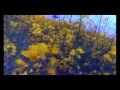 Black Box - Everybody Everybody