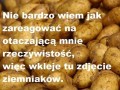 Nie wiem jak zareagować na otaczającą mnie rzeczywistość