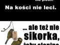 Facet nie pies...