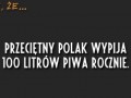 100 litrów piwa rocznie