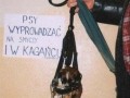 Na smyczy i w kagańcu