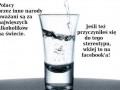 Stereotyp