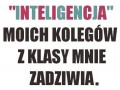 INTELIGENCJA