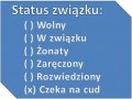 Jaki jest Twój status związku