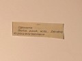 Słońce, piasek, woda... wymarzona praca