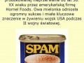 Nowe oblicze SPAMu