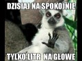 Dzisiaj na spokojnie...