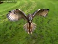 Jeden z lepszych mixów Slow Motion (HD)