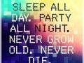 Sleep all day, party all night
