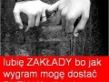 Lubię zakłady