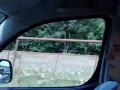 Superman powraca...