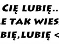 Ja Cię lubię