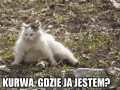 Gdzie ja jestem...