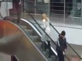Kolejna blondynka na ruchomych schodach