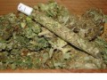 Marihuana